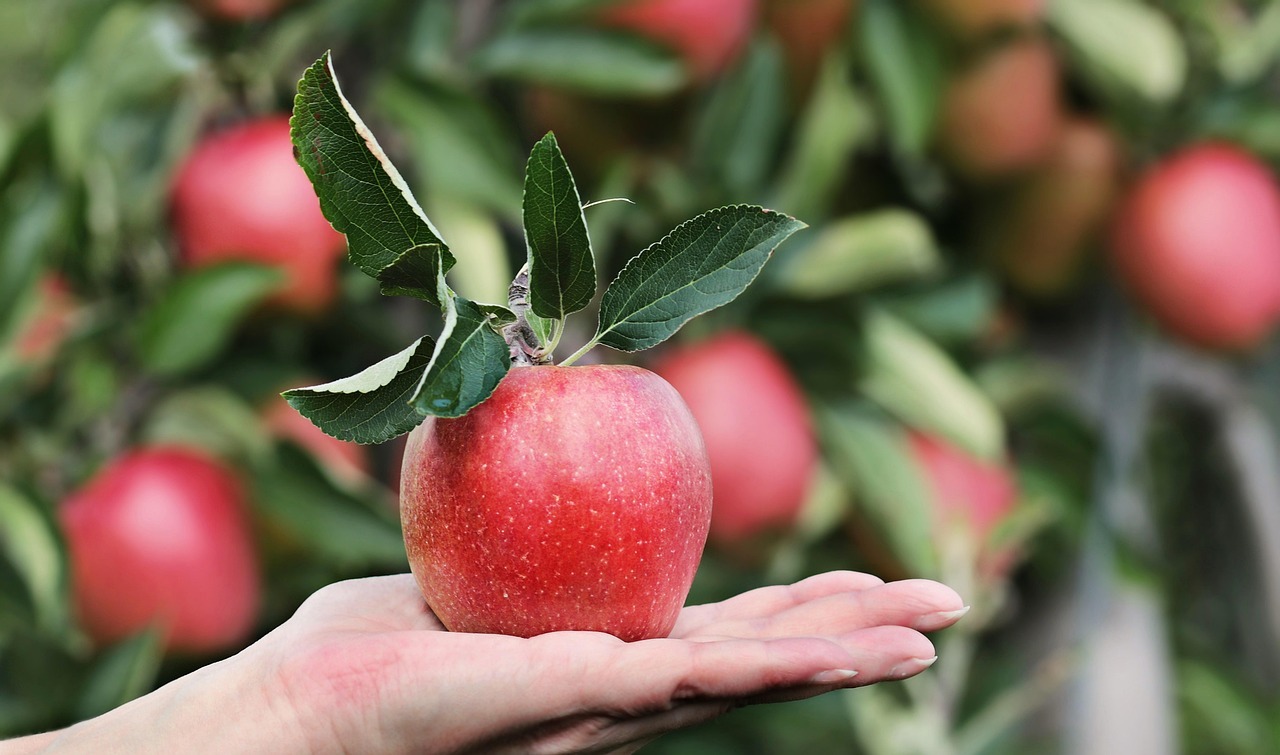 15% off apple picks