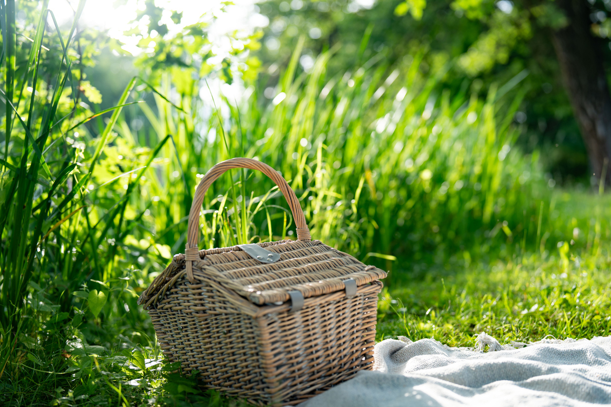 French Picnic Favorites