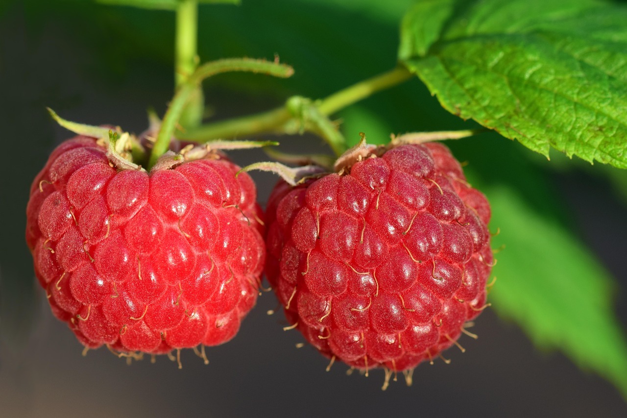 15% off everything raspberry